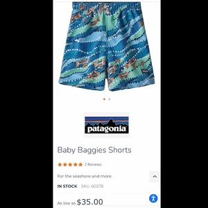 Patagonia Baggies Shorts 5T